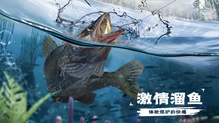 天天钓鱼图1