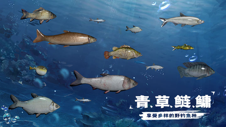 天天钓鱼图3