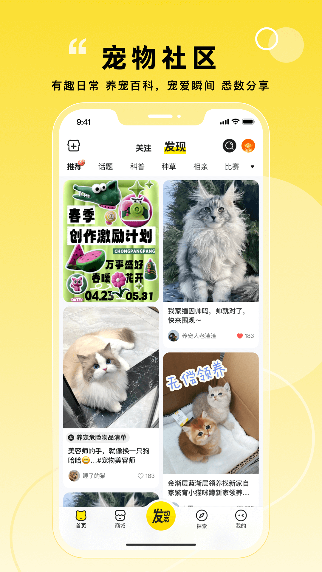 宠胖胖图2