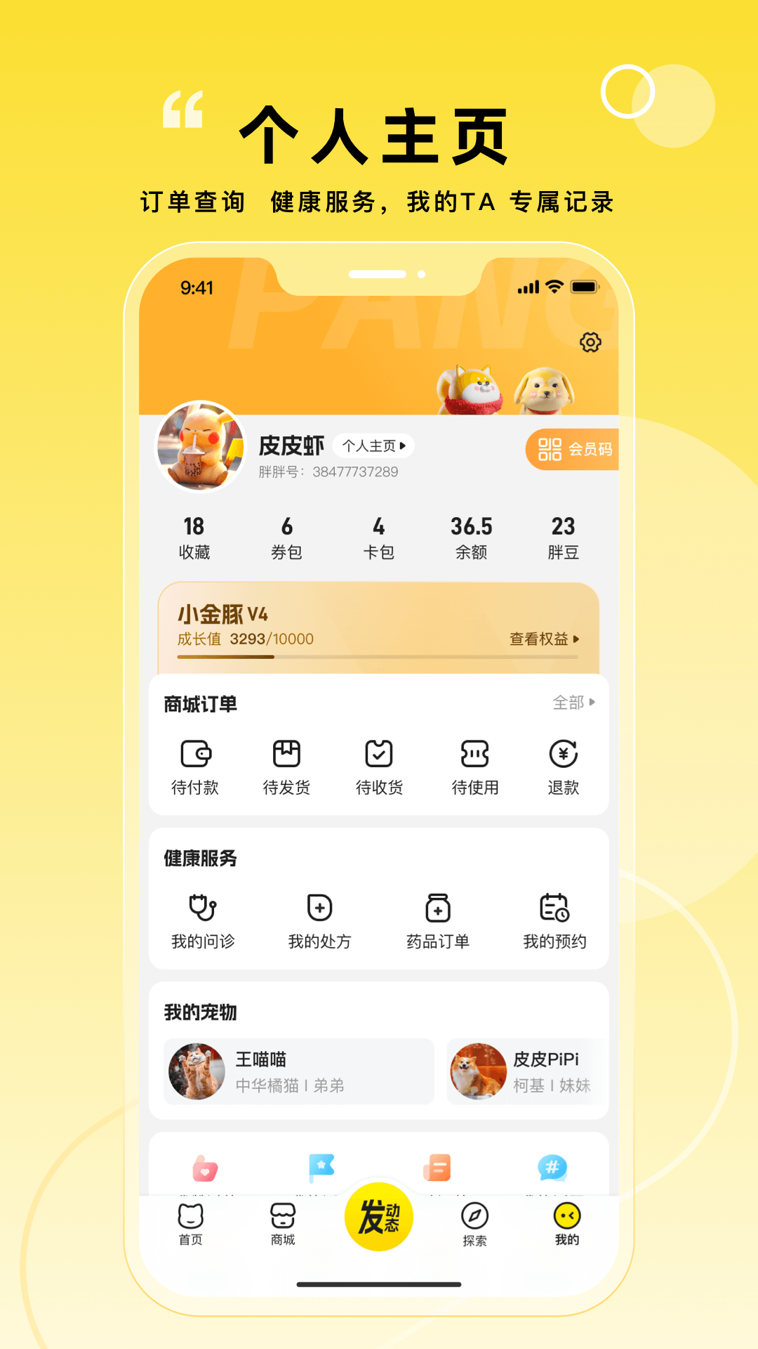 宠胖胖图5