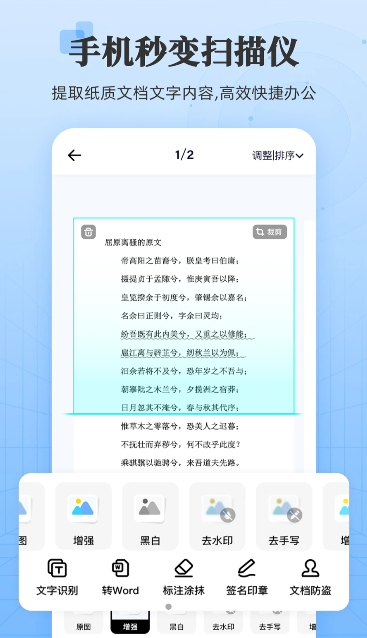 章鱼扫描王图1