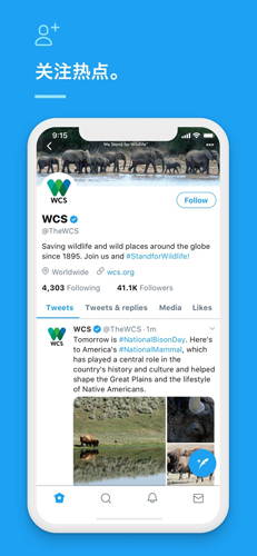 twitter正版图2