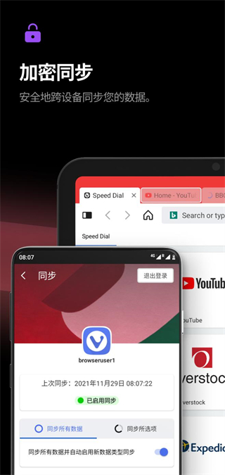 Vivaldi浏览器图1