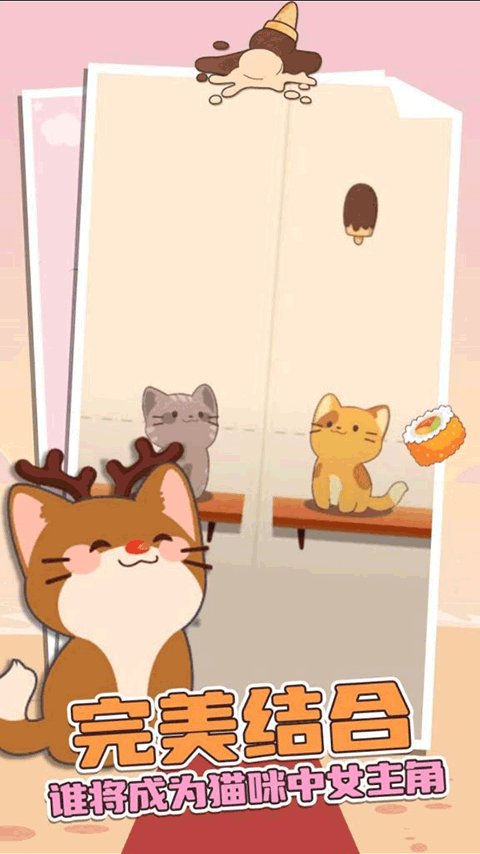 猫咪二重奏图4