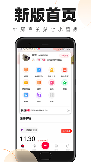 铲屎官的日常图1