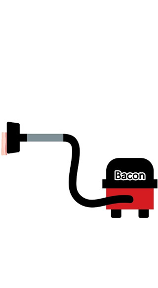 bacon图2