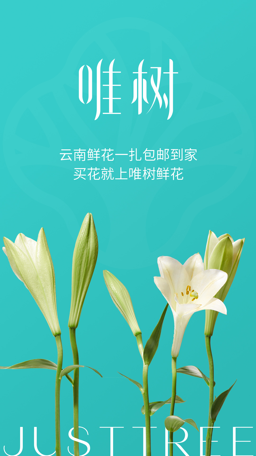 唯树鲜花图1