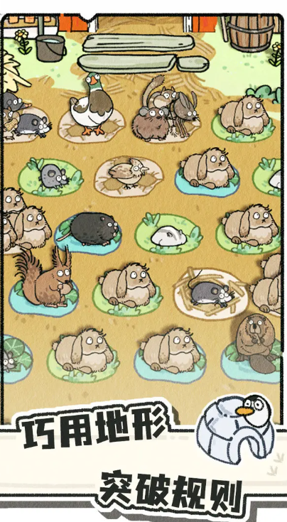 猫神牧场图4