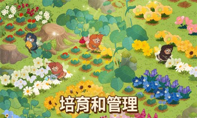 蜜蜂园林图2