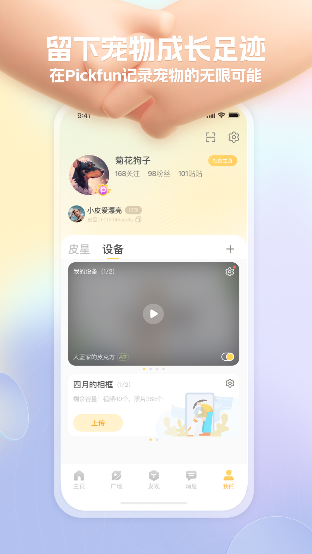 皮克方图4