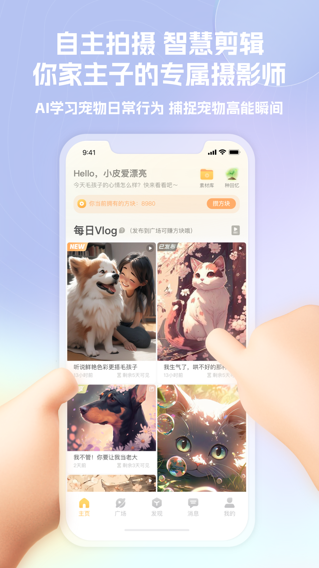 皮克方图1
