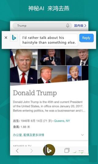 必应国际版图5