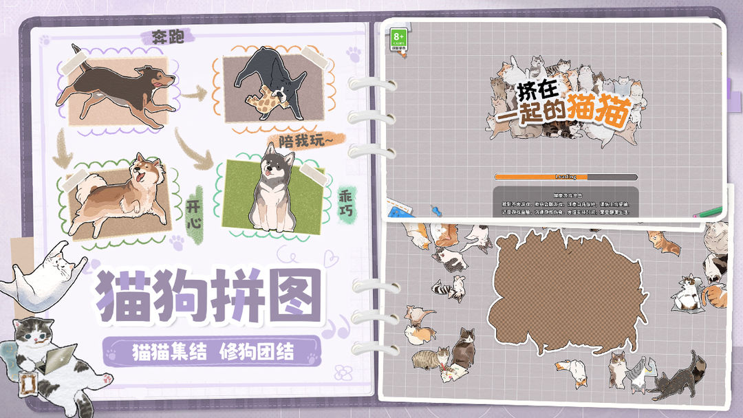 挤在一起的猫猫图3