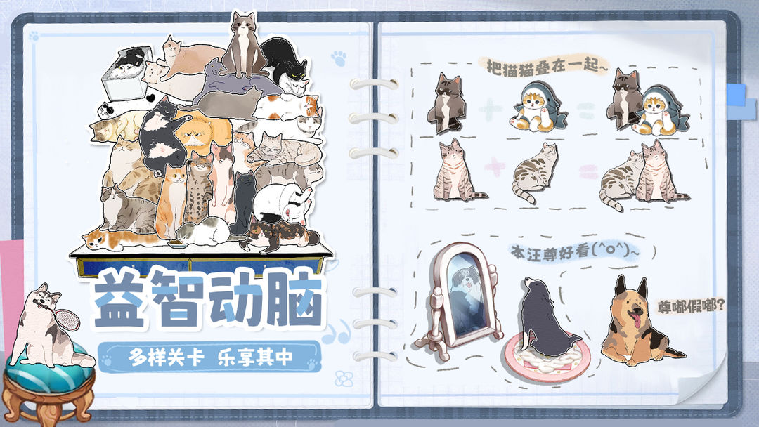 挤在一起的猫猫图4