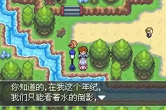 口袋妖怪紫光图2