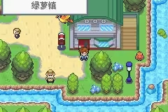 口袋妖怪紫光图4