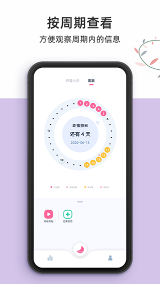 柠檬小月图3