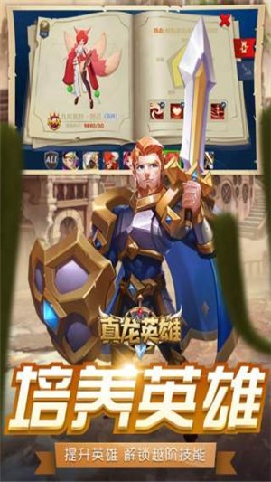 真龙英雄图1