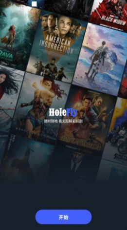 HoleFly图2