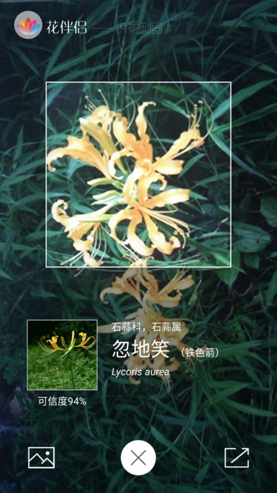 花伴侣图3