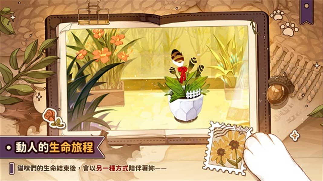 猫逝中文版图2