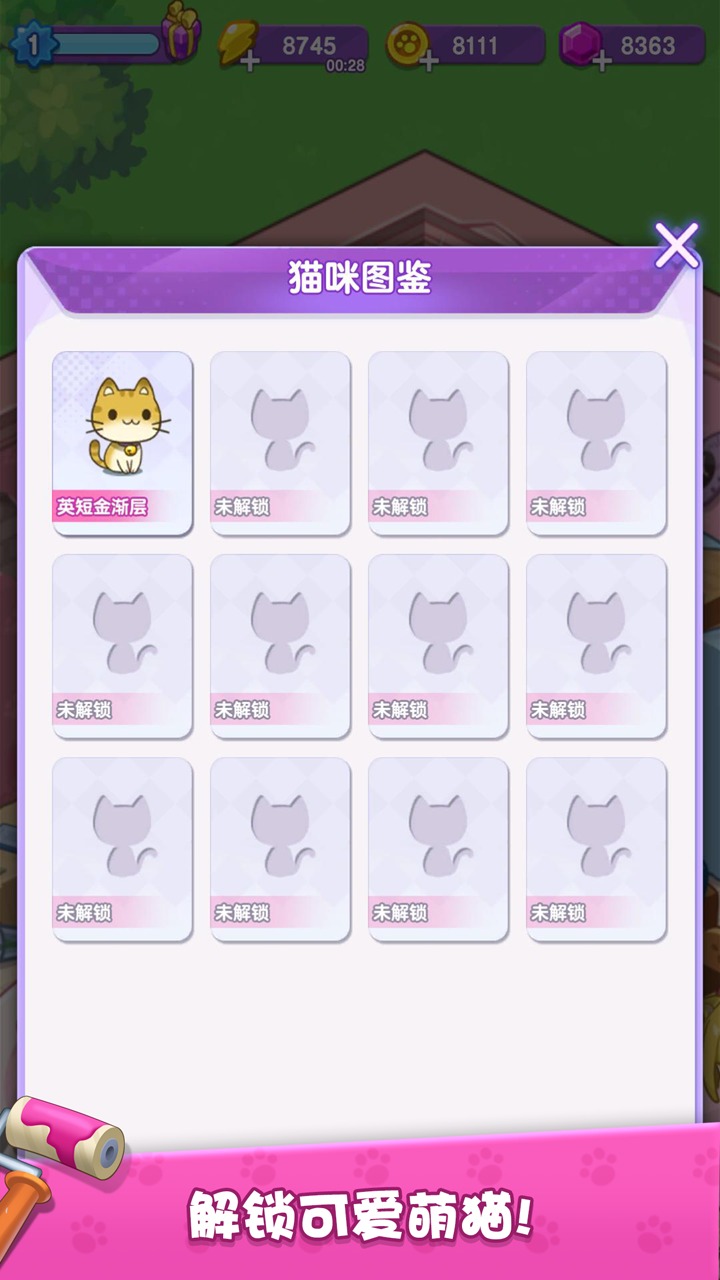 我的猫咪小家图4