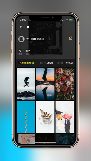 纸塘壁纸图2