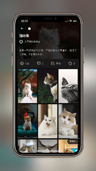 纸塘壁纸图1