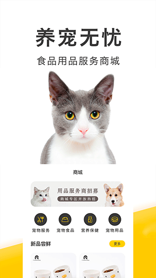 买只宠物图1