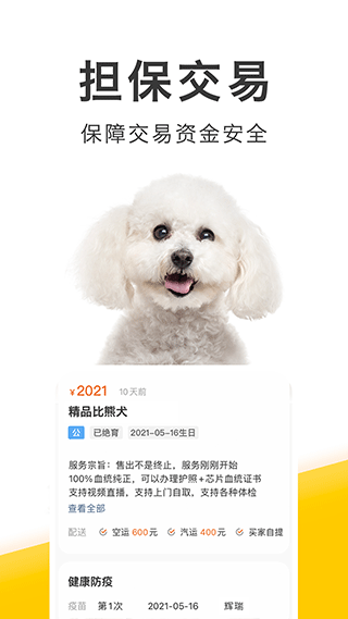 买只宠物图4