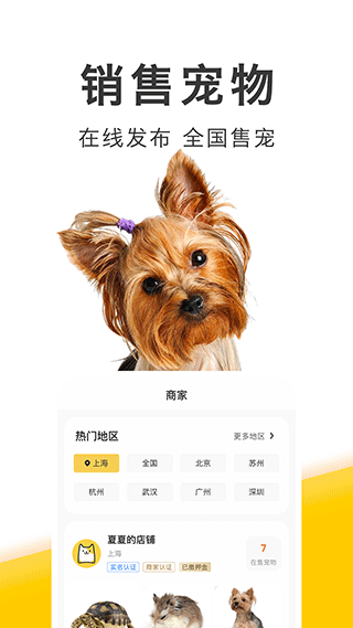 买只宠物图3