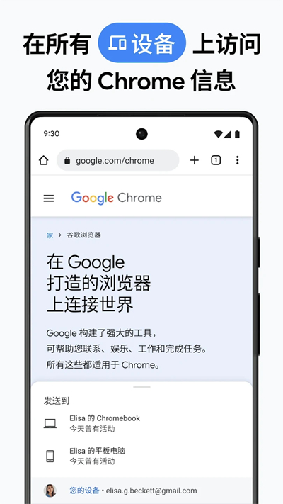 谷歌chrome浏览器图3