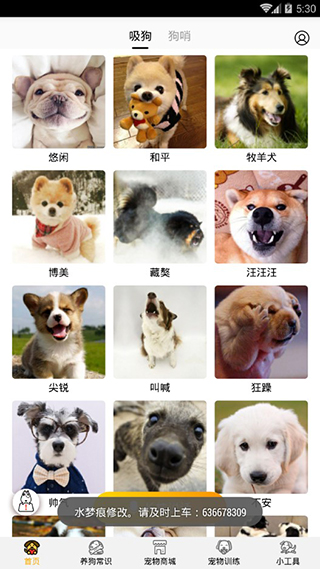 狗语翻译器图1