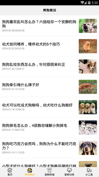 狗语翻译器图2