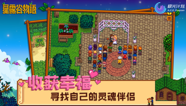 星露谷物语联机版图5