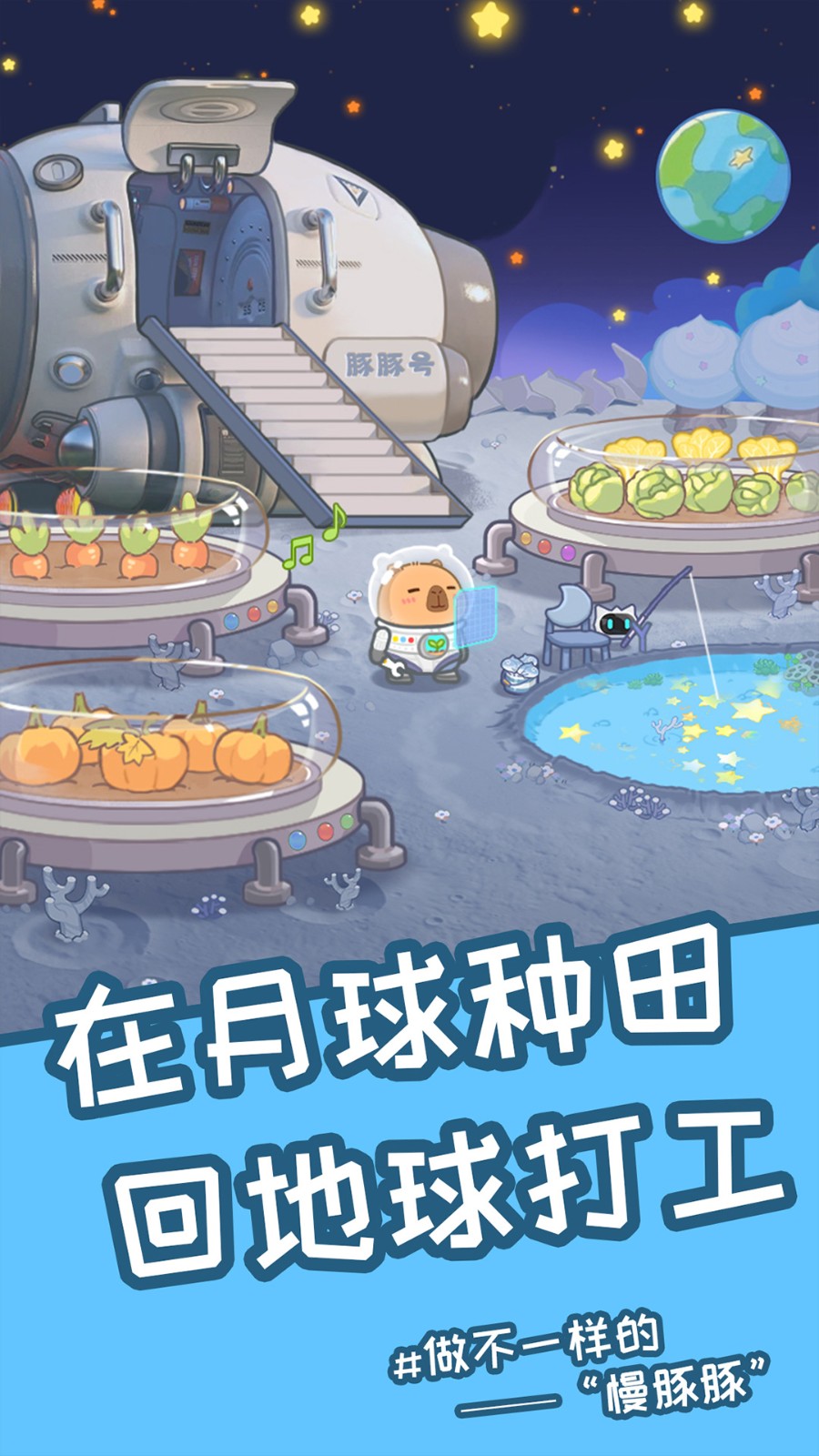 慢豚豚生活图3