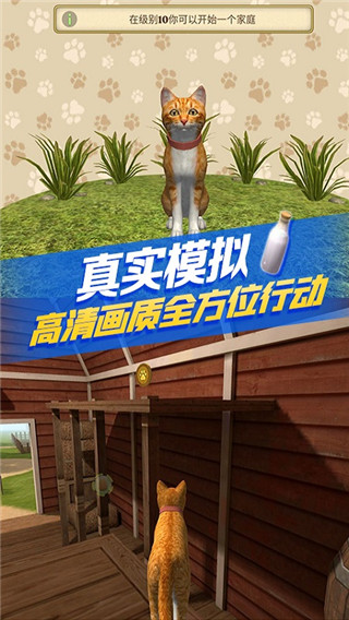 猫咪生存模拟器图4
