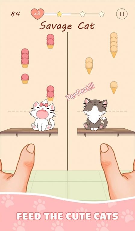 猫咪二重奏中文版图1