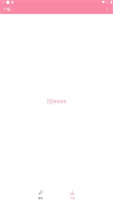 BVD下载器图2