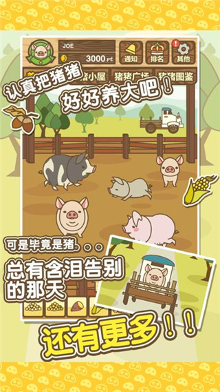 养猪场MIX图4