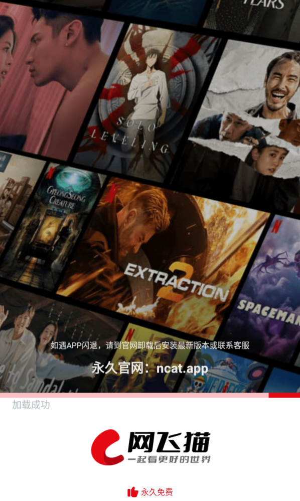 网飞猫图4