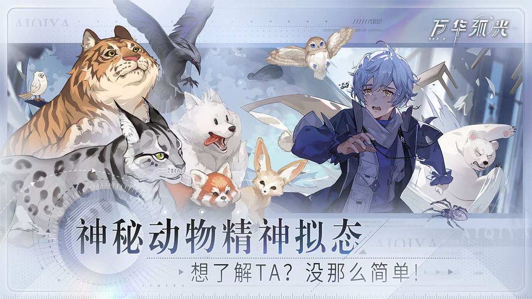 万华弧光图5