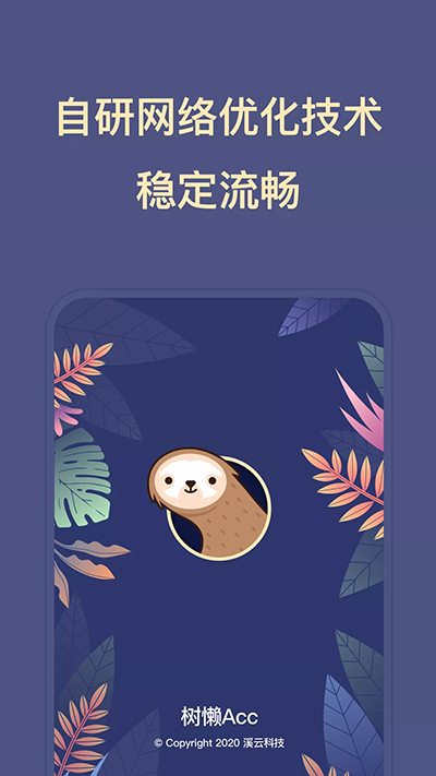 树懒acc图1