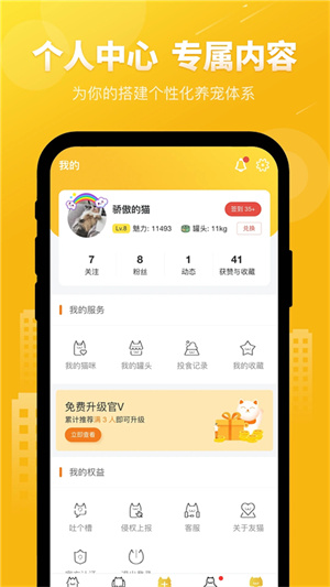 友猫图3