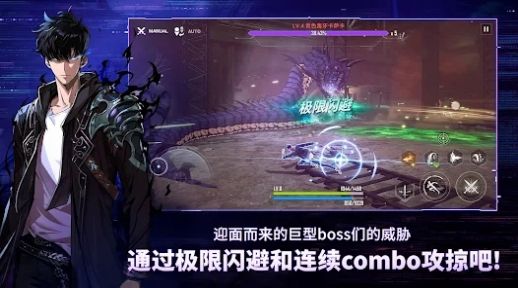 我独自升级Arise图1