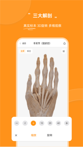 芝士医生图1