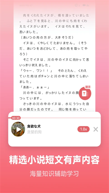 莱特日语背单词图2