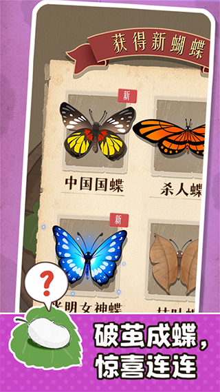 小小养蚕师图2