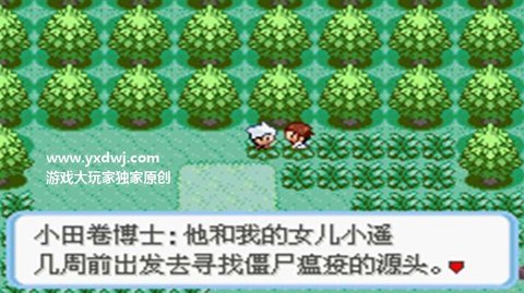 口袋妖怪增强绿宝石汉化版图3