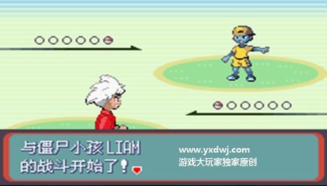 口袋妖怪增强绿宝石汉化版图1